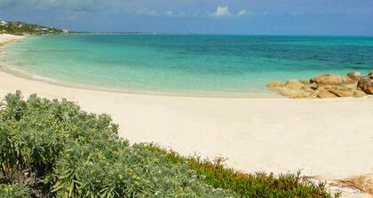 White Osprey: Spectacular views from every room and pool overlooking the ocean