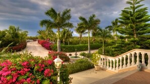 Un jardín ajardinado con palmeras, una fuente y un balustrada blanca.