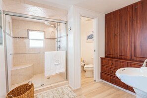 Shower, hair dryer, bidet, towels