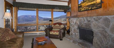 TV, fireplace, DVD player