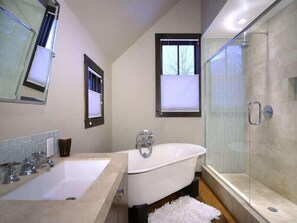 Combined shower/tub, hair dryer, shampoo - Elk Ridge (Crested Butte)