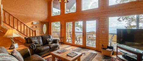 Televisión, chimenea, videojuegos y reproductor de DVD