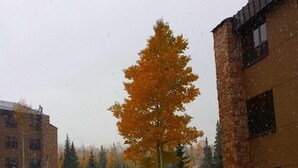 A building with a brick facade and multiple windows. - Brian head Studio in 3.5 star Cedar Breaks Lodge - Sleeps 4 (Brian Head)