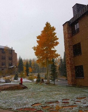 Overnatningsstedets område