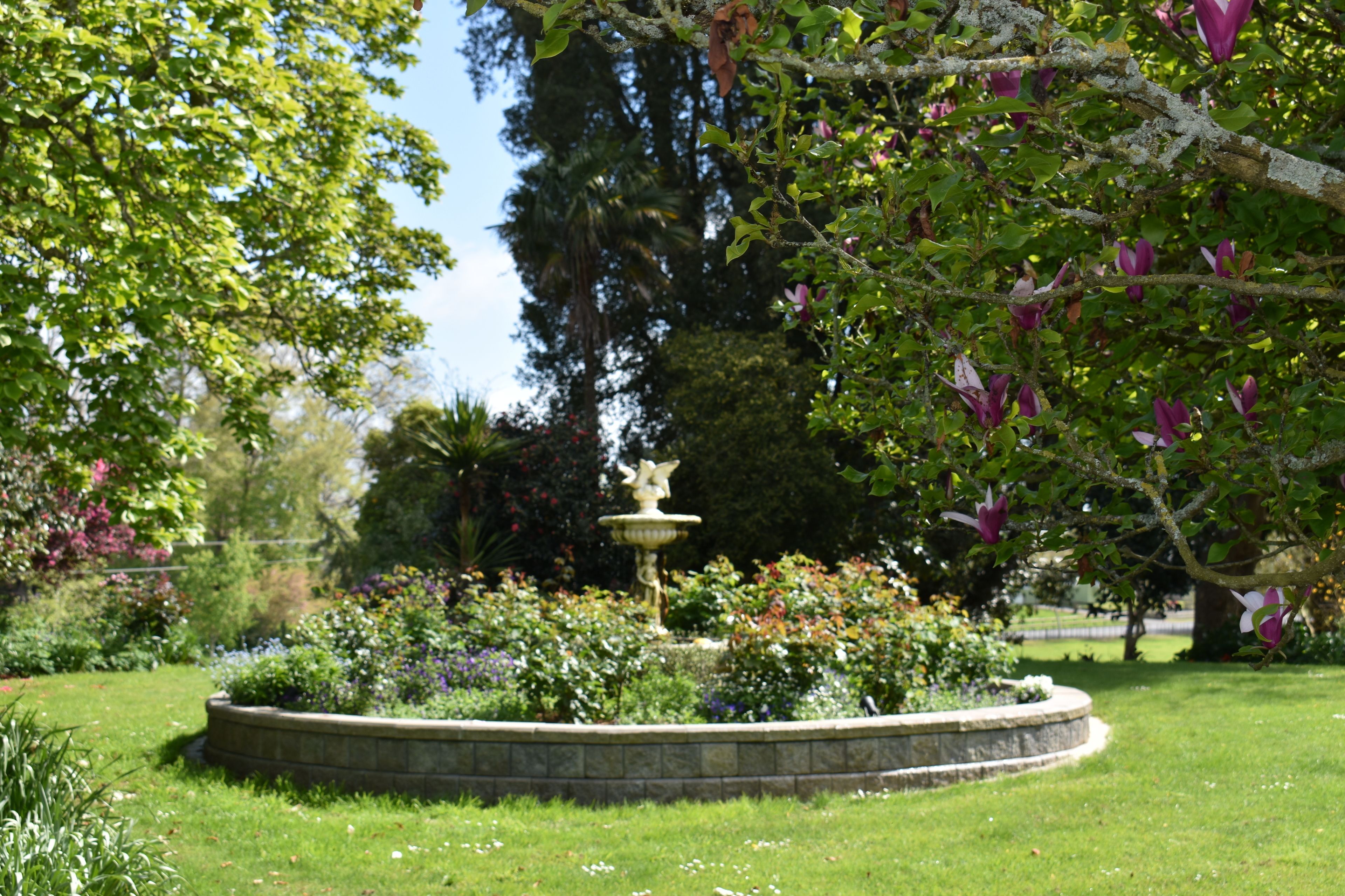 Un jardin avec une fontaine centrale, entouré de diverses plantes et arbres en fleurs.