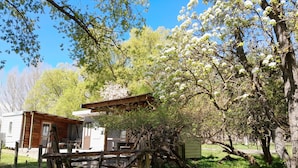 A rustic wooden cabin with a porch, surrounded by lush greenery and flowering trees. - Peter's Farm Lodge (Waipiata)
