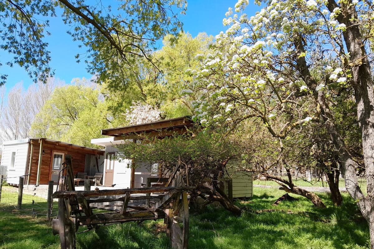 패밀리룸, 전용 욕실 (Orchard Cabins) | 침대 시트