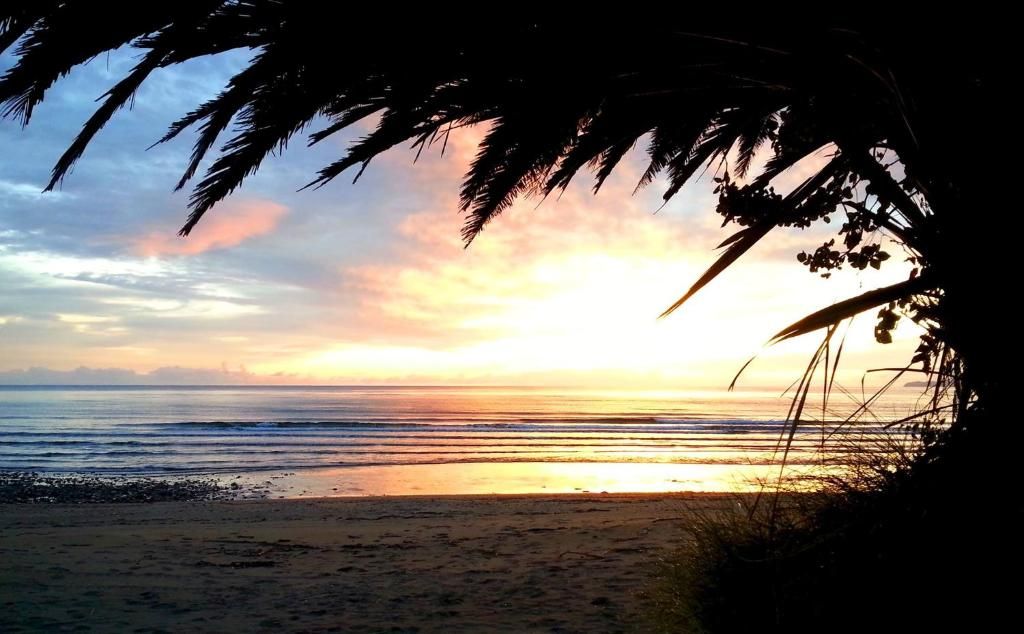 A beach scene with a sunset, palm trees, and a calm sea.