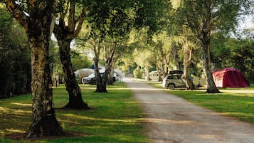 Park view
