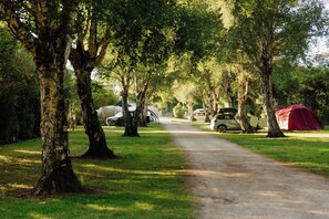 Park view