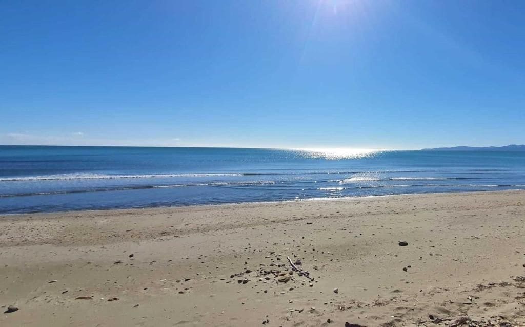 A beach with a clear sky and calm sea.