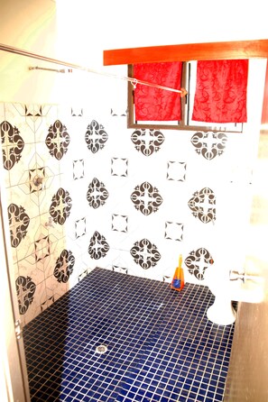 Bathroom shower - Narayan's Apartment (Sigatoka)