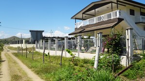 Eksteriør