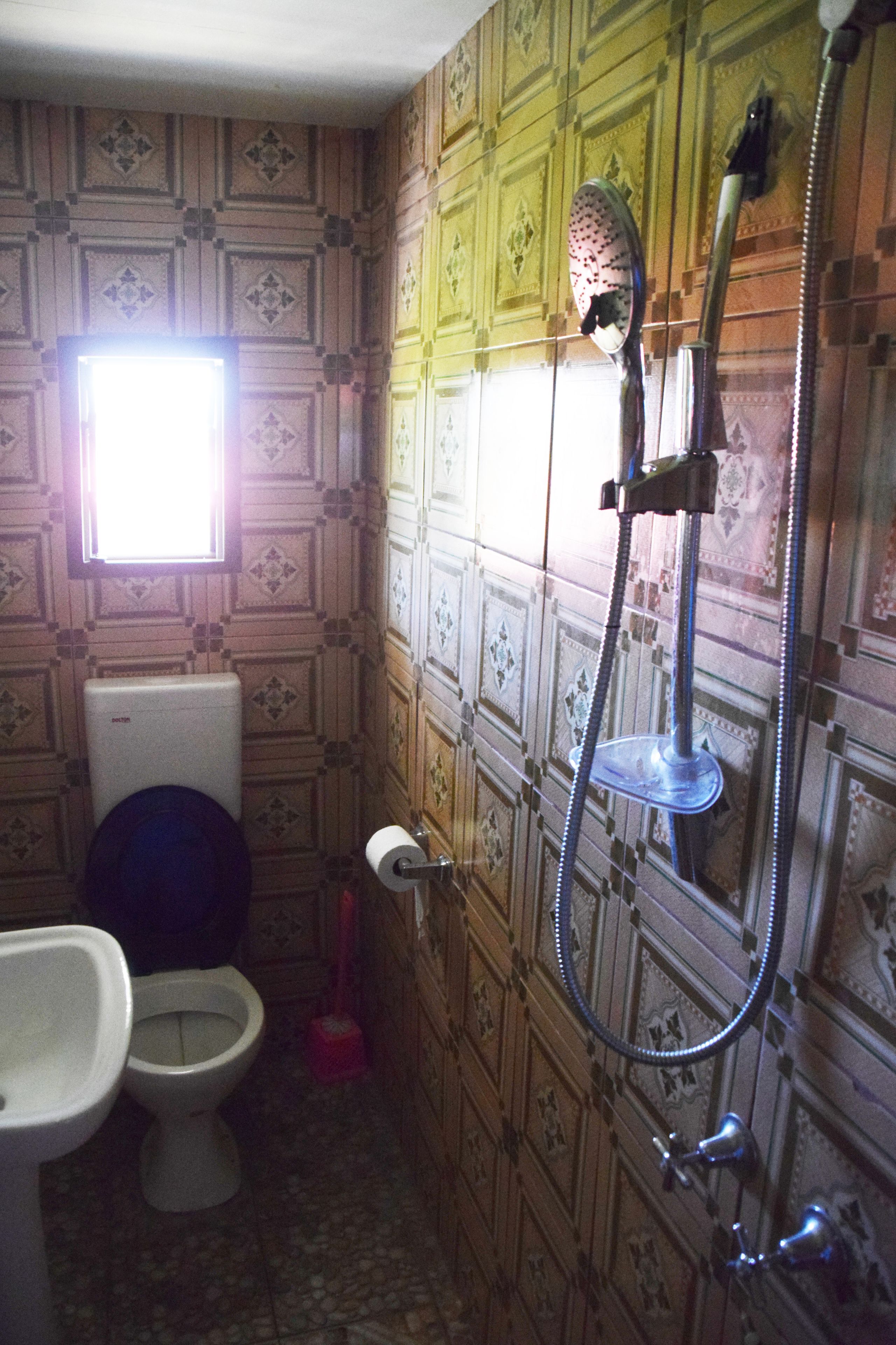 A bathroom with a toilet, bidet, and shower.