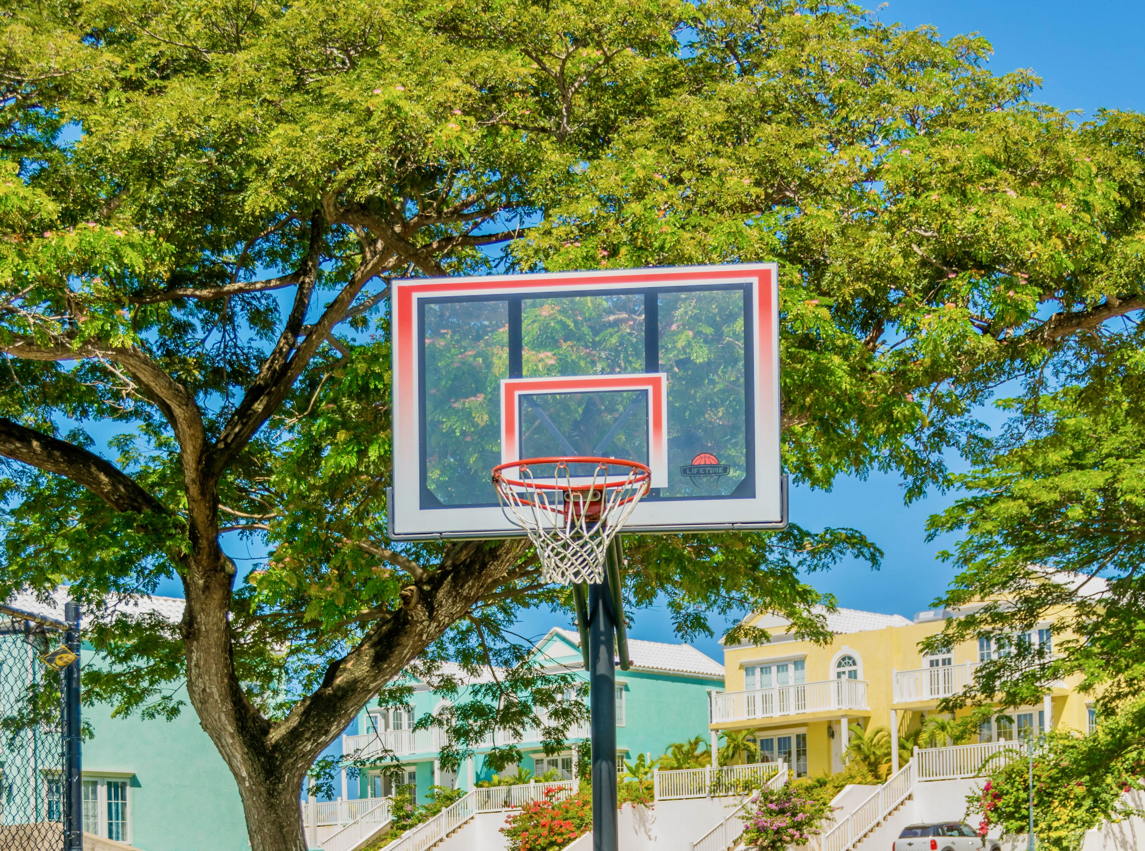 A basketball hoop with a red and white frame, surrounded by lush green trees.
