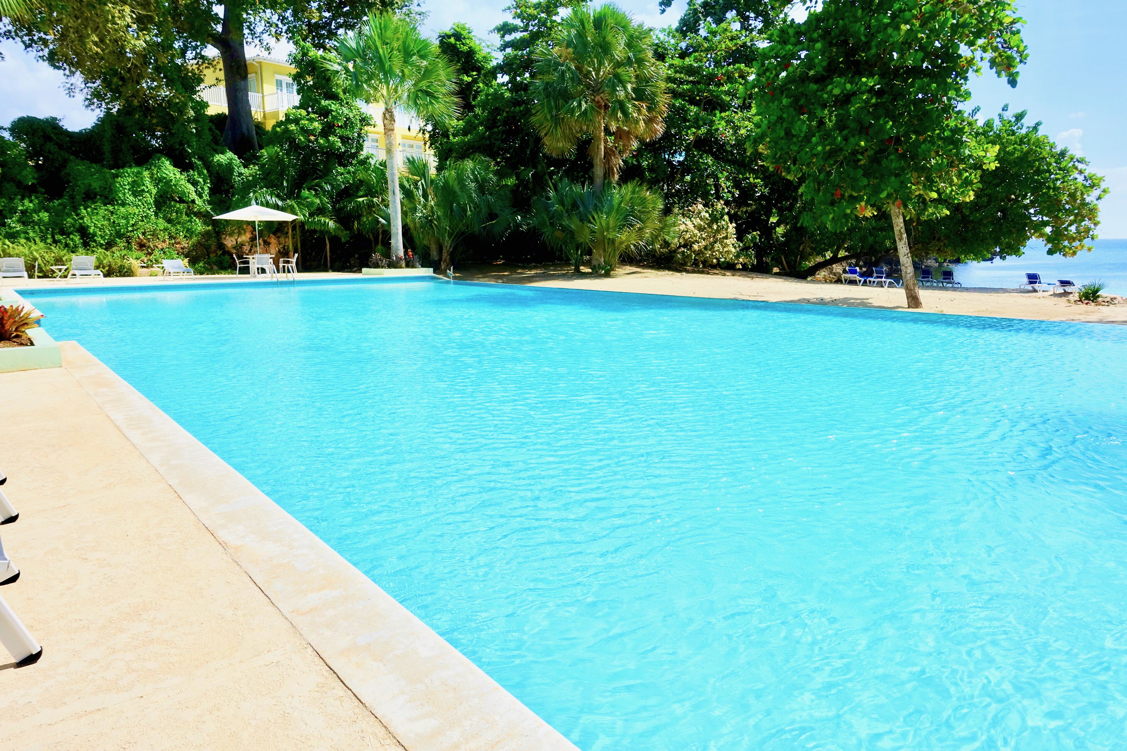 Outdoor pool, pool umbrellas, sun loungers