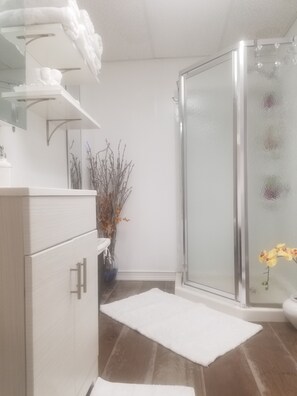 Shower, hair dryer, towels, soap