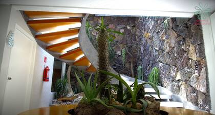 Paketti 4 huonetta + 4 kylpyhuonetta + oma pysäköintialue + ilmainen päivittäinen siivouspalvelu