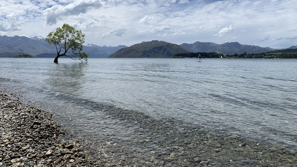 Un lago con acque cristalline, un albero al centro e montagne sullo sfondo.