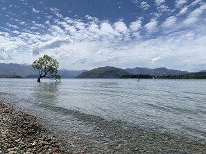 Un lac aux eaux cristallines, un arbre au centre et des montagnes en arrière-plan.