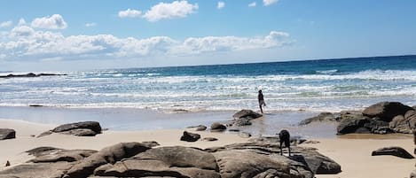 Una spiaggia nelle vicinanze, lettini da mare