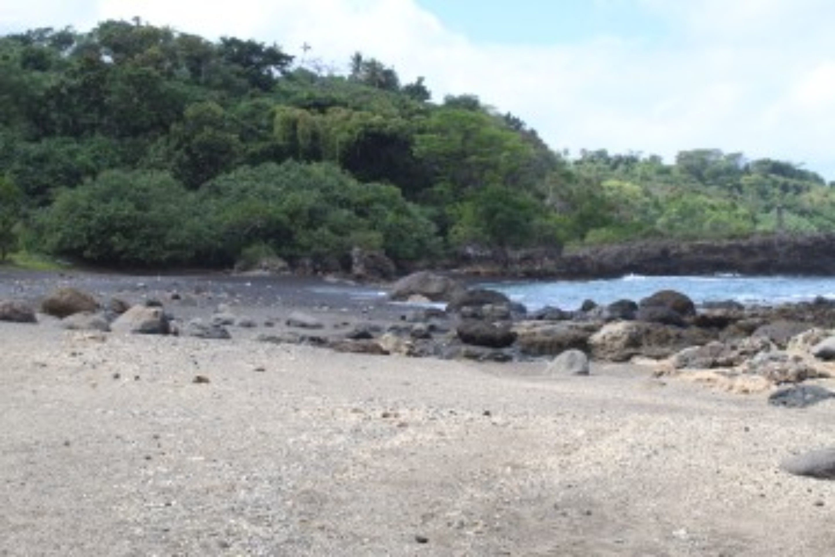 Una playa rocosa con una colina boscosa al fondo.