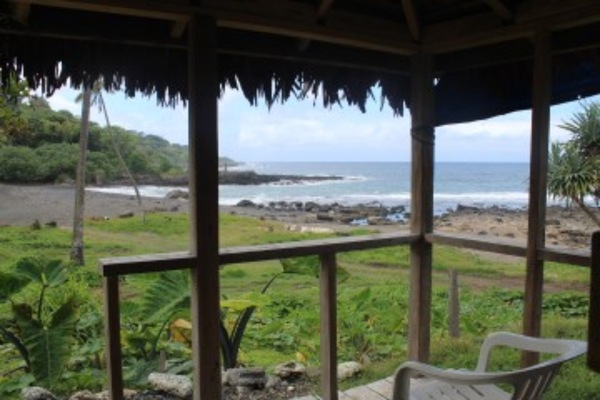 Ocean View Bungalow | View from room