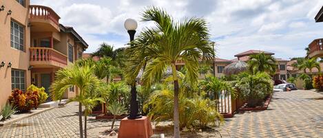 Terrein van de accommodatie