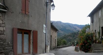 MAISON ENSOLEILLĂE, TERRAIN ARBORĂ