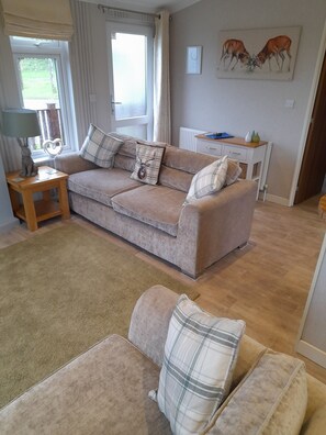 Télévision à écran plat, cheminée, lecteur de DVD