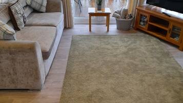 Télévision à écran plat, cheminée, lecteur de DVD