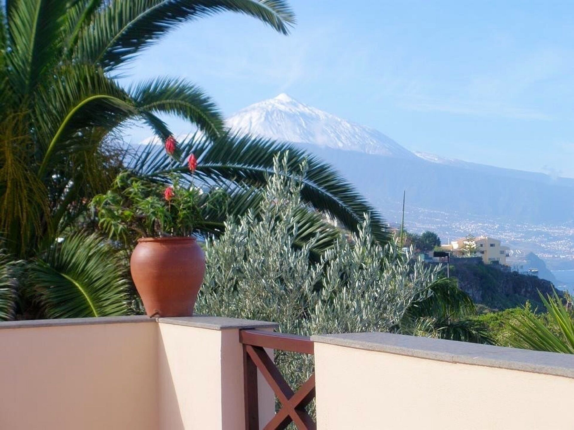 Un balcon avec une plante en pot et une vue sur une montagne.