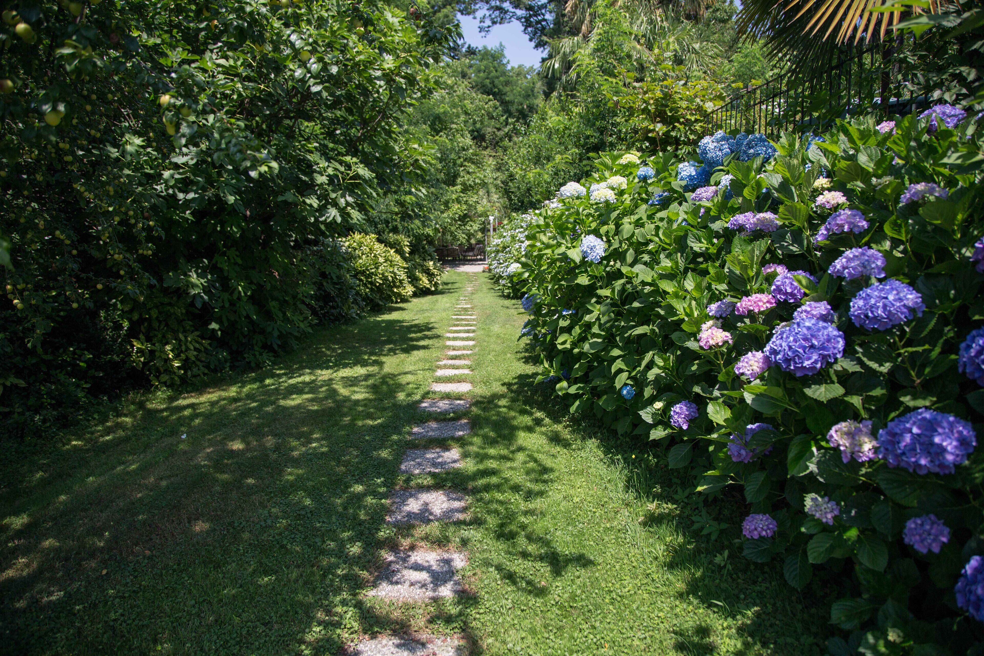 Jardines del alojamiento