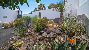 A landscaped garden with various cacti and succulents, a palm tree, and a stone wall. - 3 Bedroom, 3 Bathroom Villa, with Private Pool, WIFI, Playa Blanca, Lanzarote (Playa Blanca)