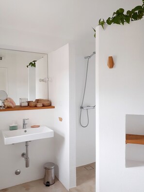 Regadera, amenidades de baño ecológicas, secadora de cabello, toallas 