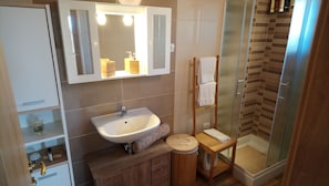 Shower, hair dryer, bidet, towels - CASA BOZZERO, elegant and modern rustic with 2 apartments (Krnica)