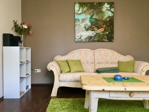 TV, DVD player, books, video library