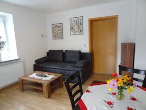 Flat-screen TV, DVD player, books, video library