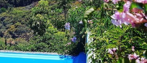 Una piscina al aire libre, una piscina climatizada