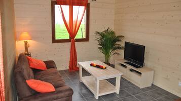 Télévision, lecteur de DVD