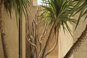 DĂ©tail de lâextĂ©rieur