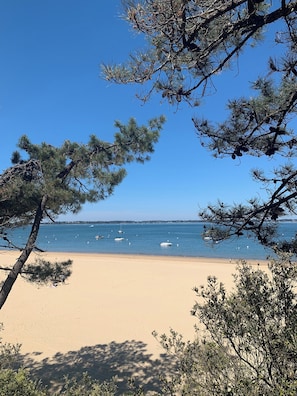 Una playa cerca