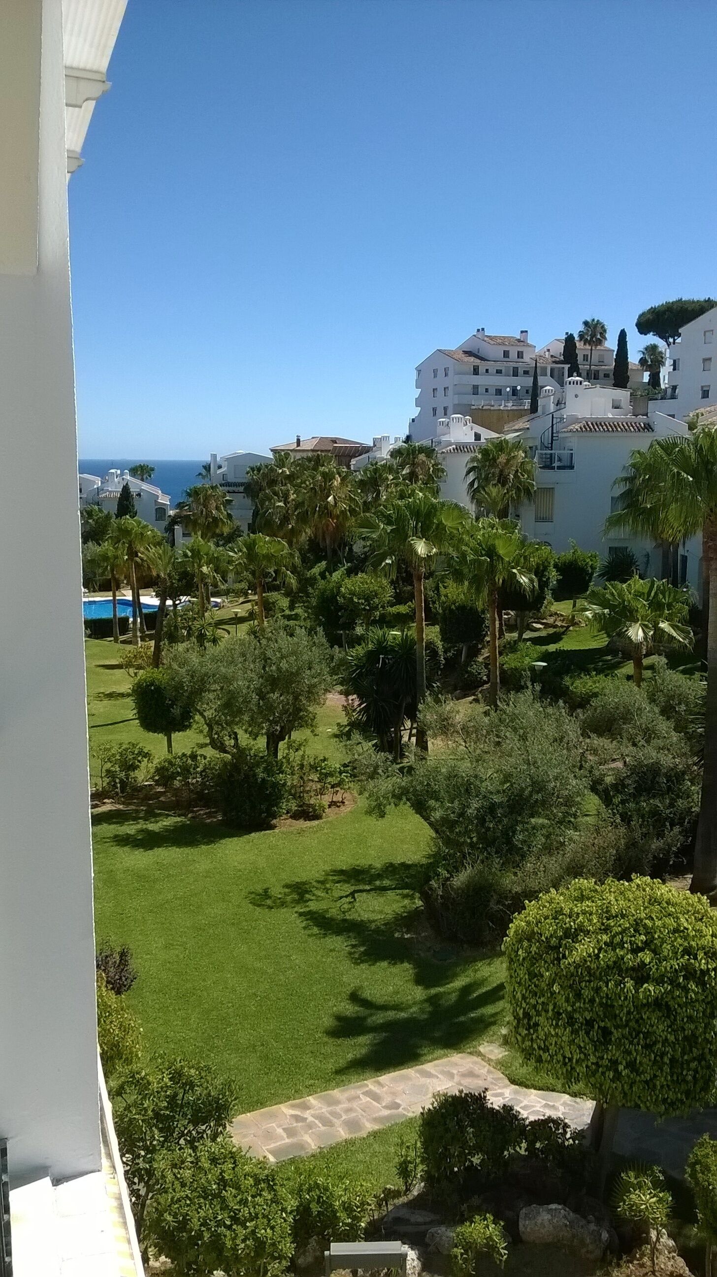 A view of a landscaped garden with palm trees and a pool, overlooking a coastal area with buildings.