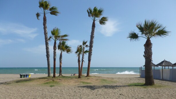 Une plage de sable bordée de palmiers, avec vue sur l’océan.