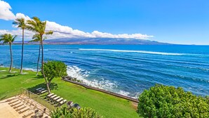 A beachfront view with palm trees, a grassy area with lounge chairs, and a clear blue ocean.