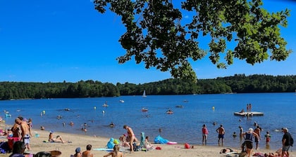 El pequeño tronco con vista al lago.