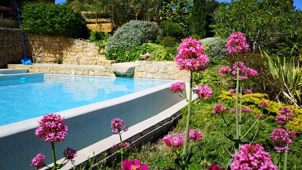 A swimming pool surrounded by lush greenery and flowering plants. - L 'OLIVADE LARGE RECENT VILLA WITH PANORAMIC VIEW  (Entrecasteaux)