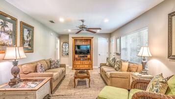 Télévision, cheminée, lecteur de DVD, livres