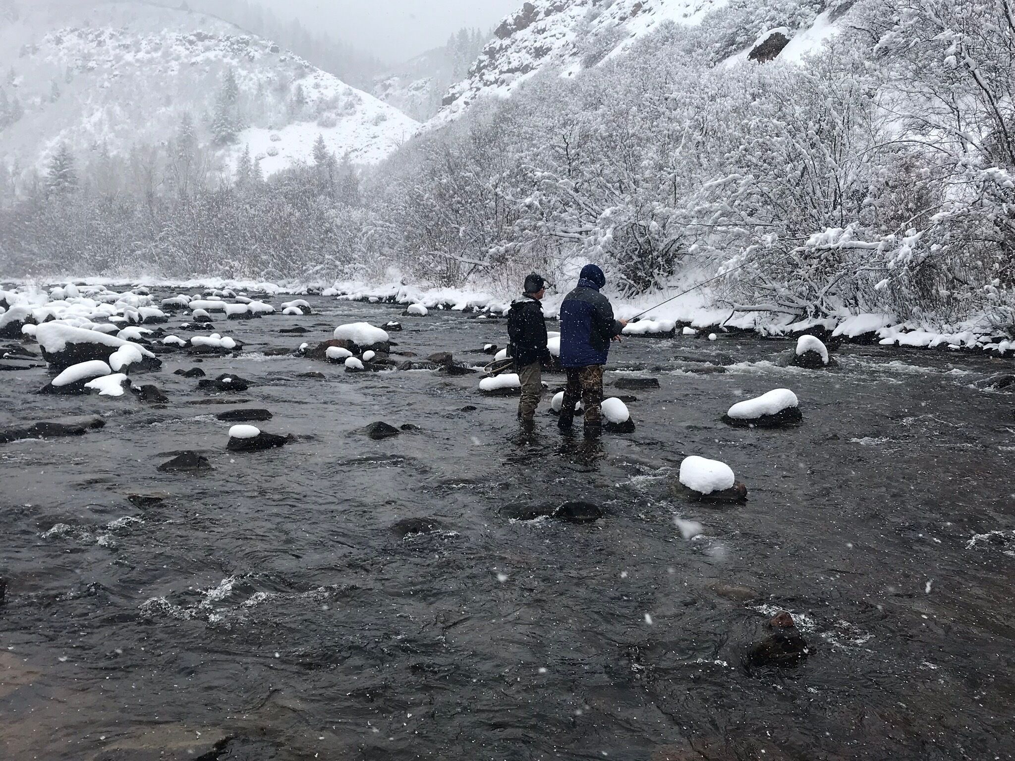 This place is beautiful year round!