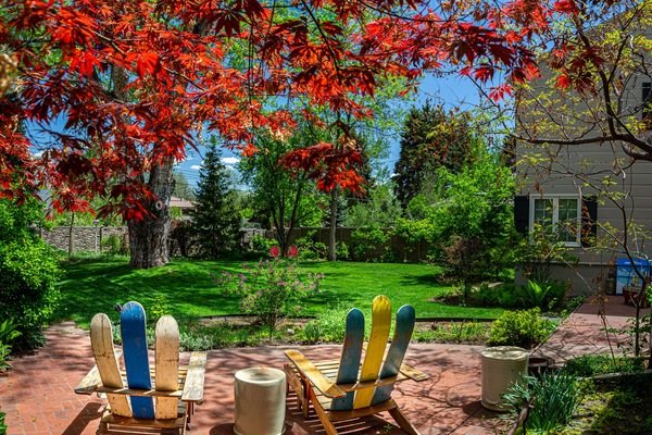 テラス / パティオ